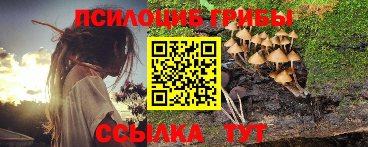 Кириши  Галлюциногенные грибы Psilocybe  Вход с VPN 